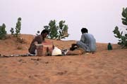 Thar desert