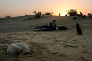 Thar desert