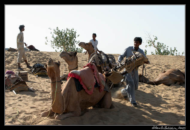 Thar desert