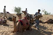 Thar desert