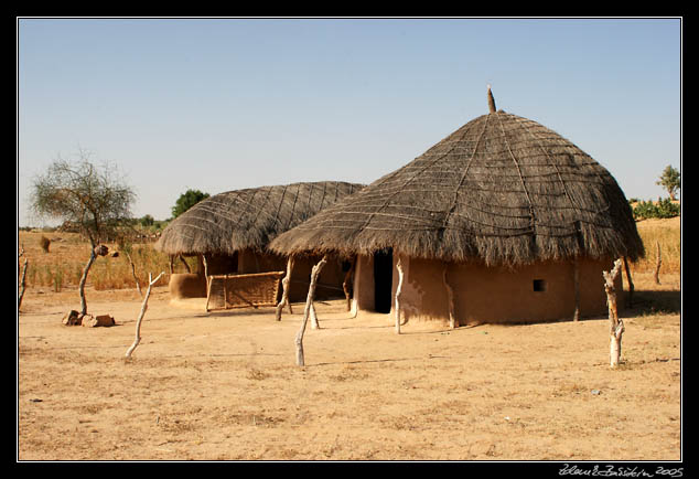 Thar desert