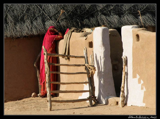 Thar desert