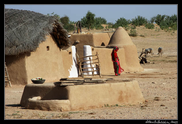 Thar desert