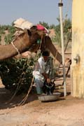 Thar desert