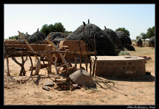 Thar desert