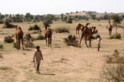 Thar desert