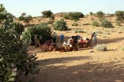 Thar desert