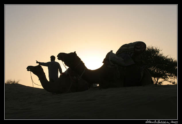 Thar desert