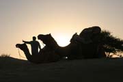 Thar desert