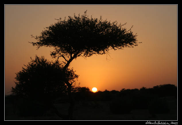 Thar desert