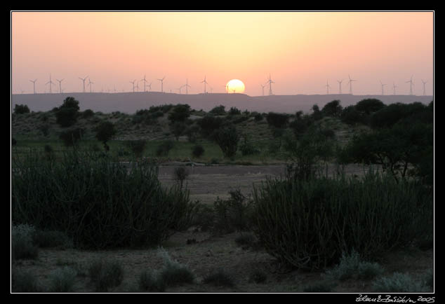 Thar desert