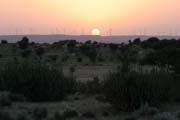 Thar desert