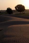 Thar desert