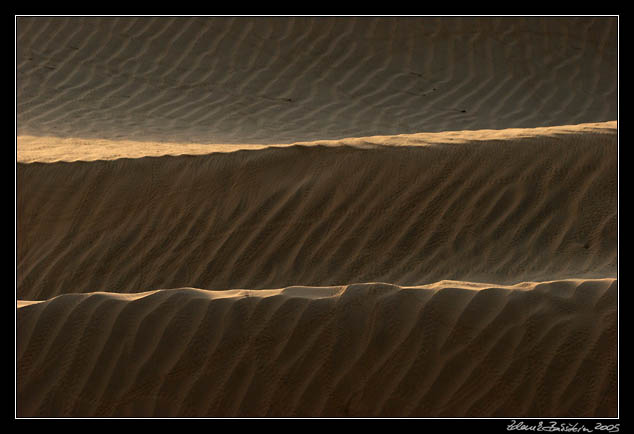 Thar desert