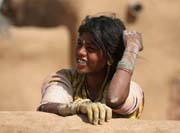 Thar desert