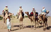 Thar desert