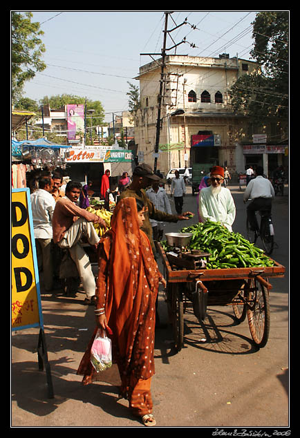 Udaipur