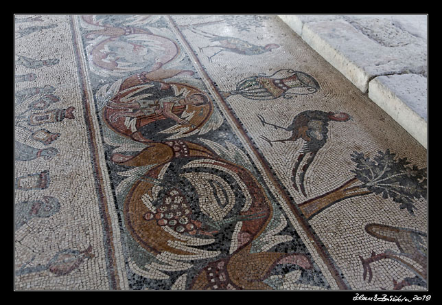 Madaba - Church of the Apostles - mosaics