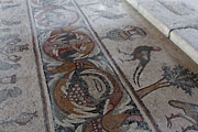 Madaba - Church of the Apostles - mosaics