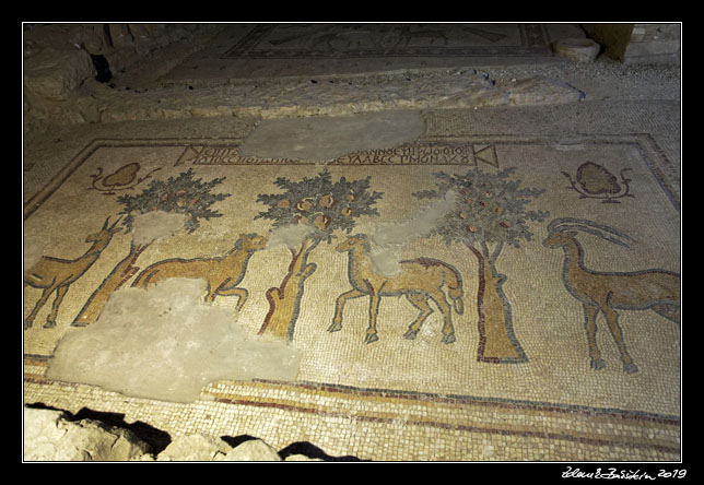 Madaba - Church of the Apostles - mosaics