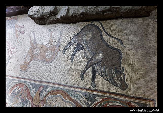 Madaba - Church of the Apostles - mosaics