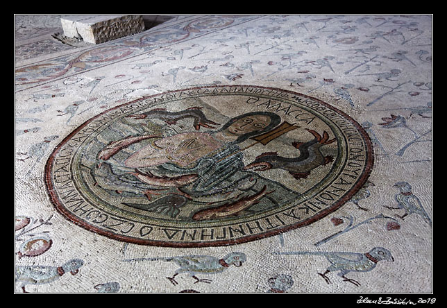 Madaba - Church of the Apostles - mosaics