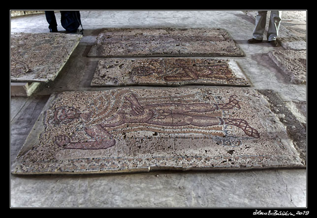 Madaba - Church of the Apostles - mosaics