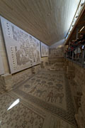 Mt. Nebo - Basilica of Moses - mosaics