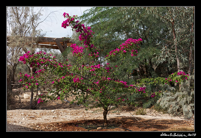 Bethany Beyond the Jordan -