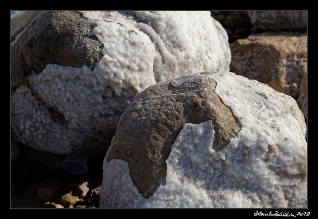 Dead Sea area -