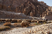 Dead Sea area - Al Tafilah highway traffic