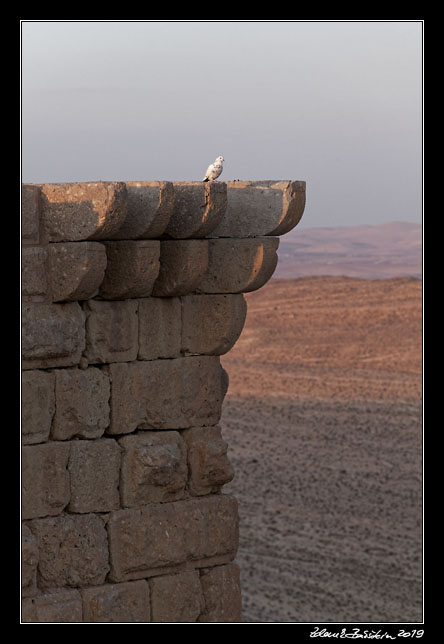 Shobak (Shaubak) - Krak de Montral