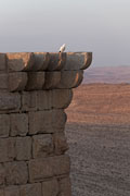 Shobak (Shaubak) - Krak de Montral