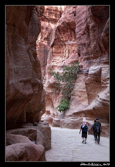 Petra - Al Siq