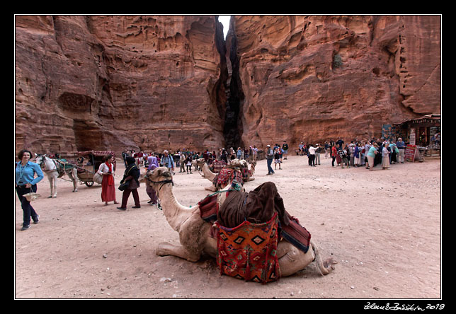 Petra - Al Siq