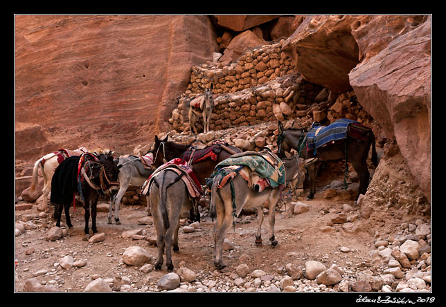 Petra - waitin` for customers