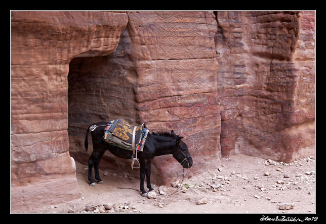 Petra - The Outer Siq