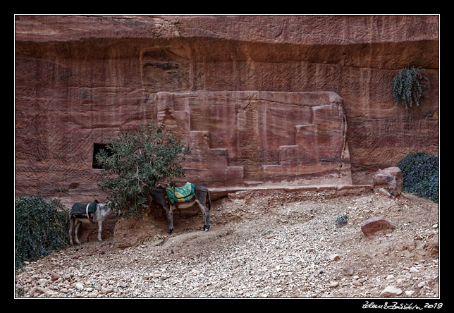 Petra - The Outer Siq