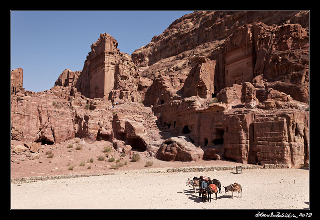 Petra -