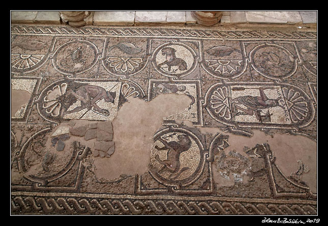 Petra - Byzantian church mosaics