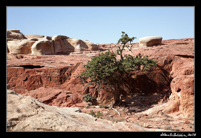 Petra - red rocks country