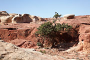 Petra - red rocks country