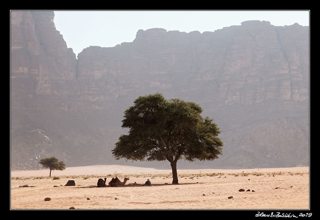 Wadi Rum -