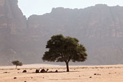 Wadi Rum -