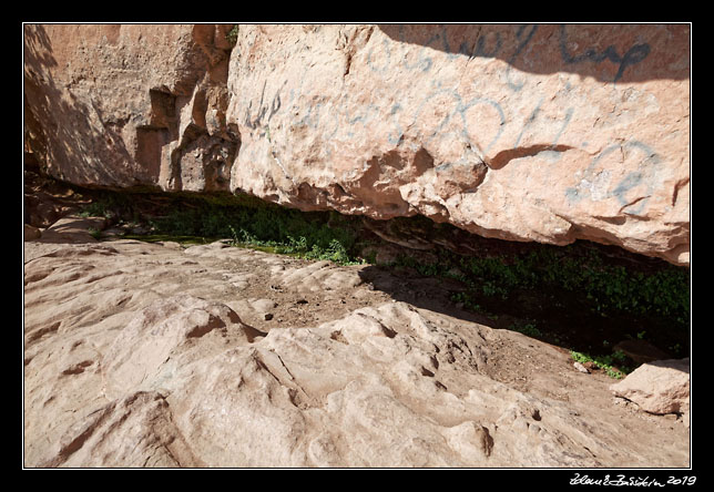 Wadi Rum - Lawrence`s spring