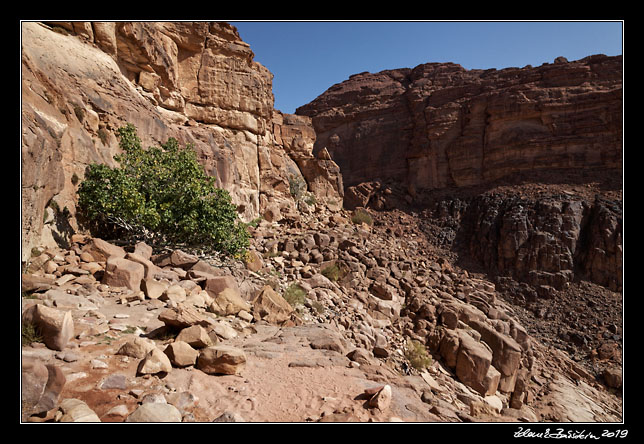 Wadi Rum - Lawrence`s spring