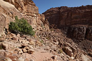 Wadi Rum - Lawrence`s spring