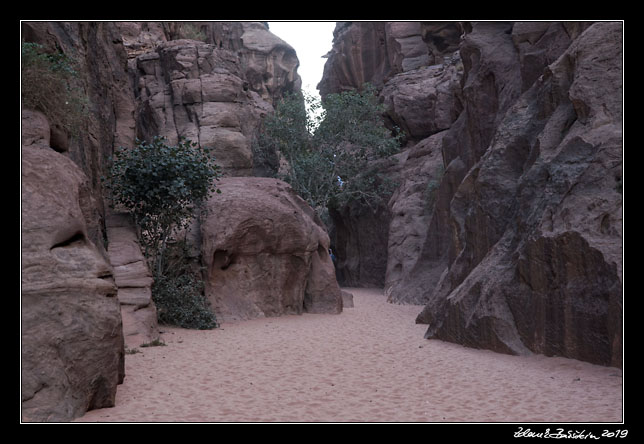 Wadi Rum - Siq trail