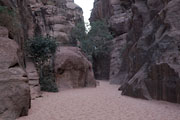 Wadi Rum - Siq trail