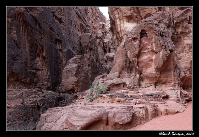 Wadi Rum - Siq trail